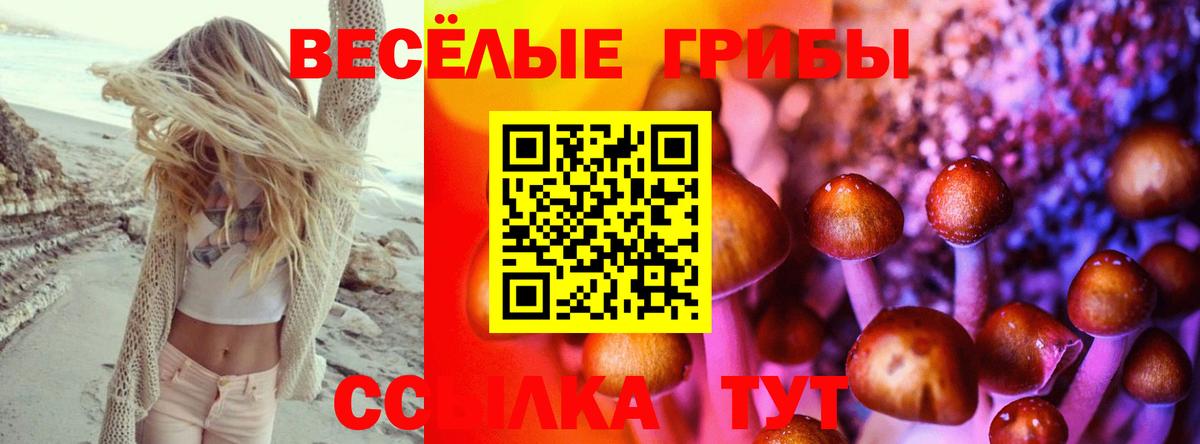 Галлюциногенные грибы GOLDEN TEACHER  Вход с VPN  как найти   Углич 