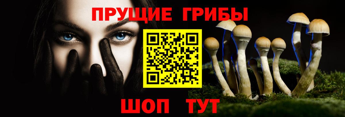 Галлюциногенные грибы прущие грибы Углич